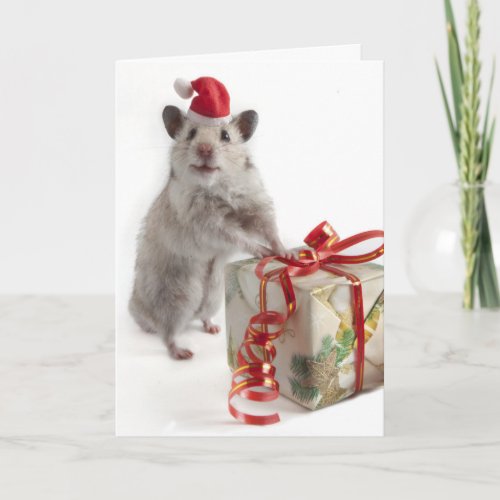 Santa Claus Hamster With Gift Holiday Card
