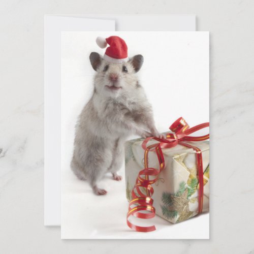 Santa Claus Hamster With Gift Holiday Card