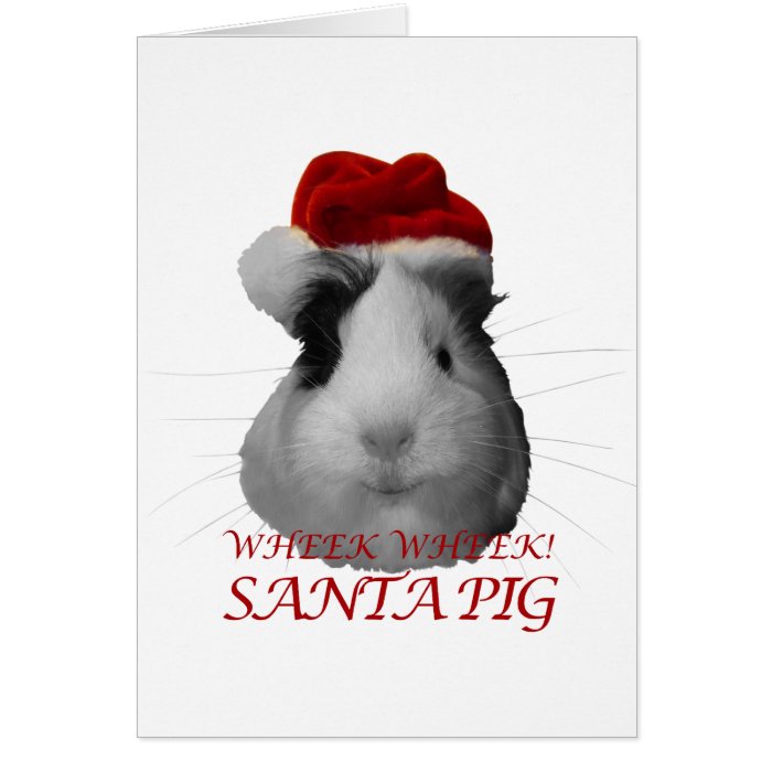 Santa Claus Pig Guinea Pig Christmas Holidays Greeting Card