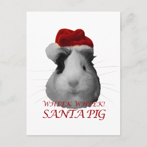 Santa Claus Pig Guinea Pig Christmas Holidays Holiday Postcard