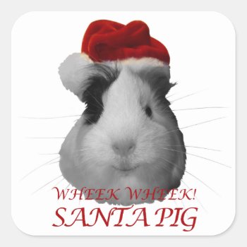 Santa Claus Pig Guinea Pig Christmas Holidays Square Sticker by GuineaPigManual at Zazzle