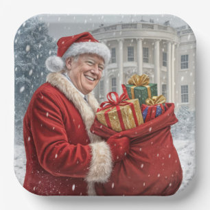 Santa Claus Trump With Gift Bag Paper Plates