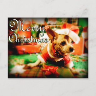 Santa Clause Chihuahua Merry Christmas Holiday Postcard