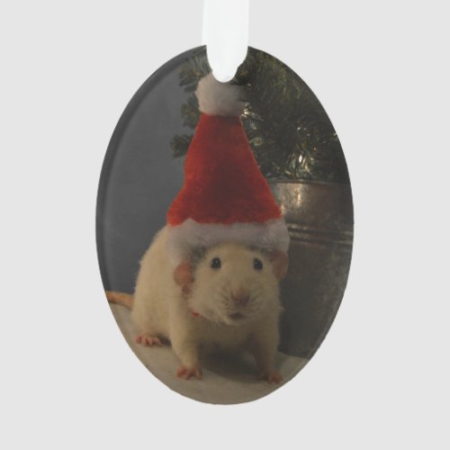 Santa Clause Dumbo Rat Ornament