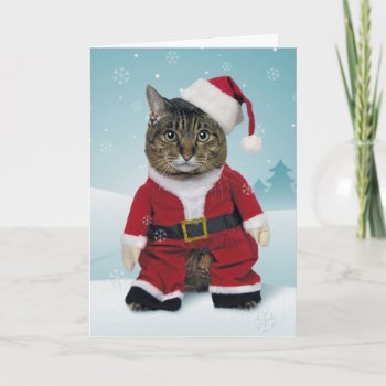 Santa Claws Christmas Card by lamessegee at Zazzle