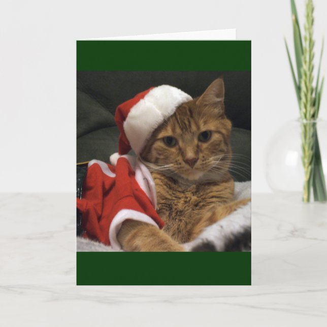 Santa Claws Holiday Card (Front)