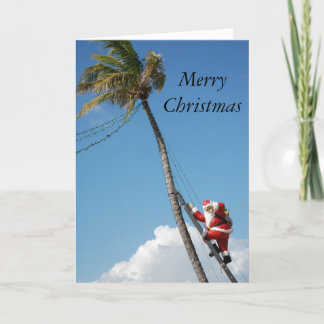 Santa climbs palm tree sunny florida holiday card