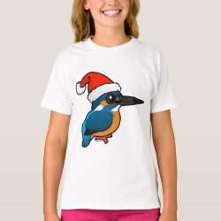 Santa Common Kingfisher Kids' American Apparel Organic T-Shirt