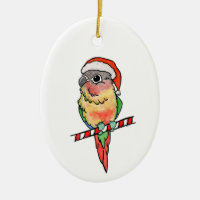 Santa Conure Christmas Ornament