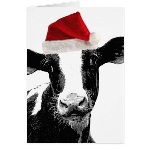 Funny Cow Christmas Cards, Funny Cow Christmas Card Templates, Postage ...