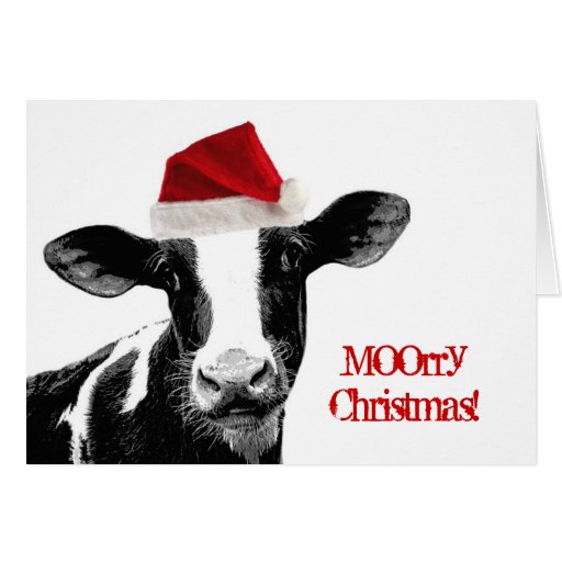 Santa Cow - Dairy Cow wearing Santa Hat Cards | Zazzle