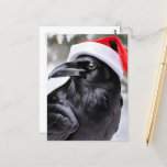 Santa Crow Postcard