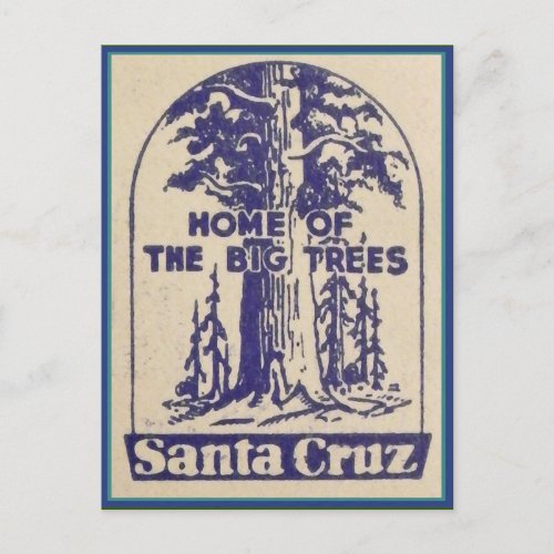 Santa Cruz California _ Home of the Big Trees Postcard