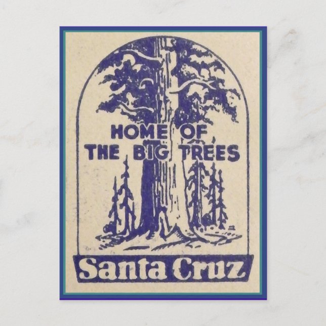 Santa Cruz California - Home of the Big Trees Postcard (Front)