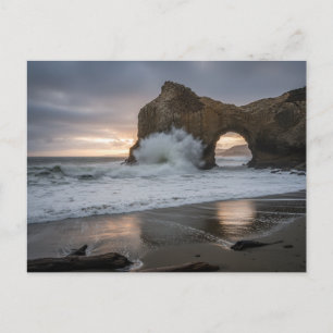 Santa Cruz California Natural Bridges Arch Postcard