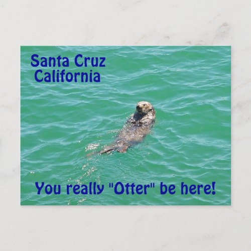 Santa Cruz California Otter Postcard