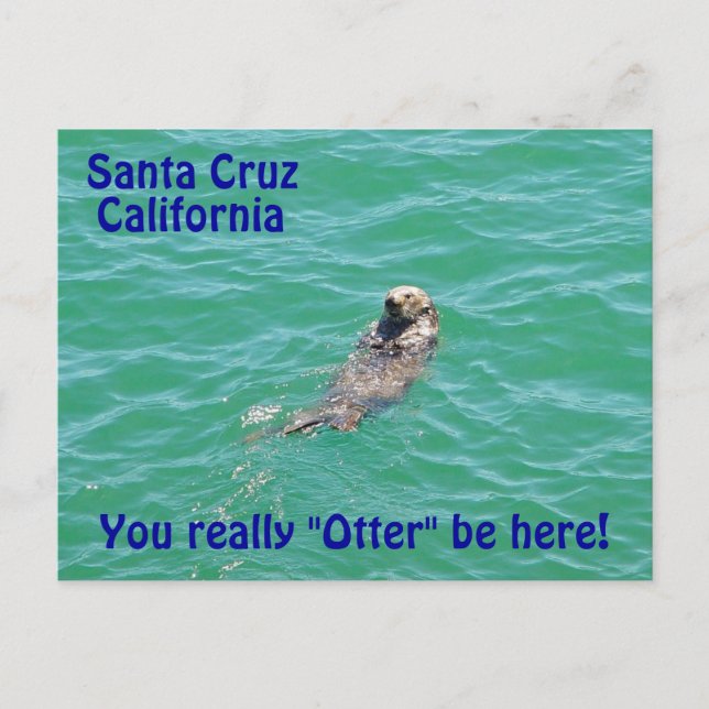 Santa Cruz California Otter Postcard (Front)
