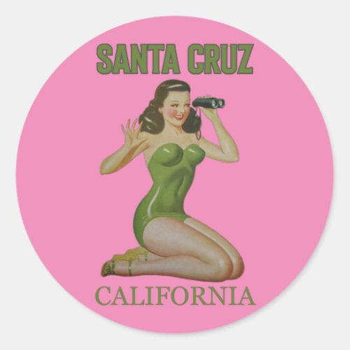 Santa Cruz California Pin Up Girl Stickers