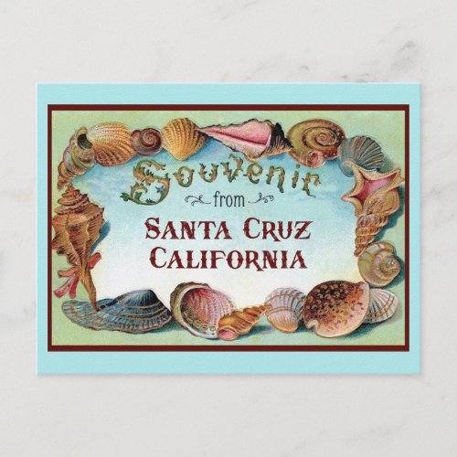 Santa Cruz California Seashell Vintage Travel  Postcard