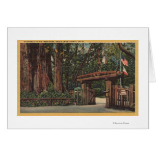 Santa Cruz County, CA Entrance to Big Trees Park Cards