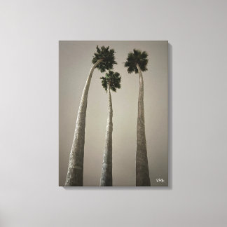 Santa Cruz Palms at Night Wall Art