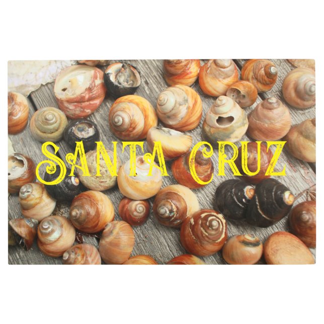 Santa Cruz shells close up yellow lettering Metal Print (Front)