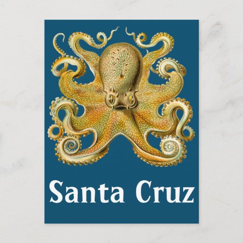Santa Cruz vintage Octopus Postcard