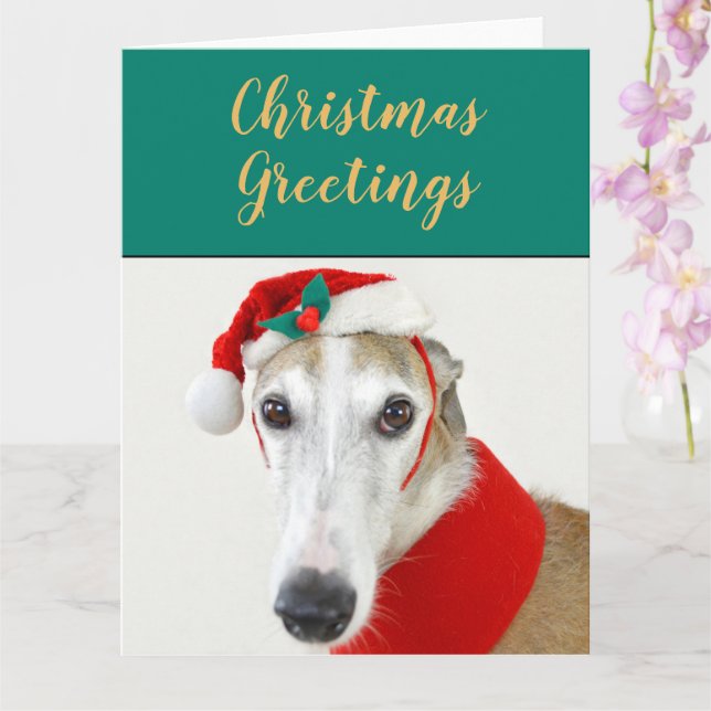 Santa dog Christmas greyhound holiday postcard (Orchid)