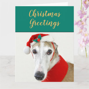 Santa dog Christmas greyhound holiday postcard