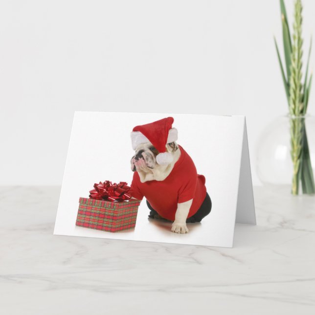Santa Dog - English Bulldog Dressed Like Santa Holiday Card (Front)