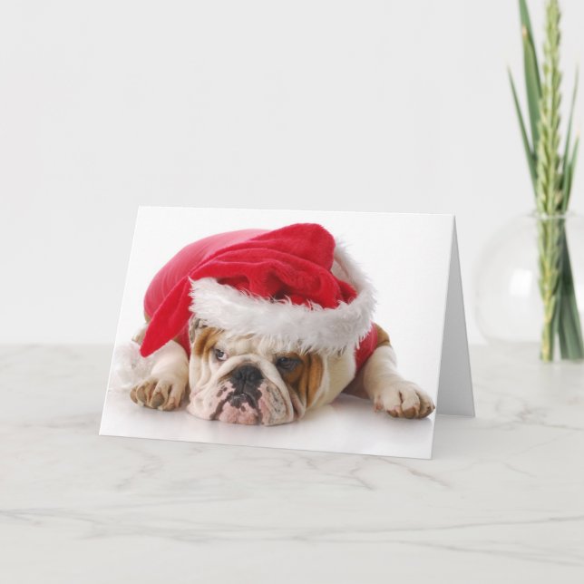 Santa Dog Holiday Card (Front)