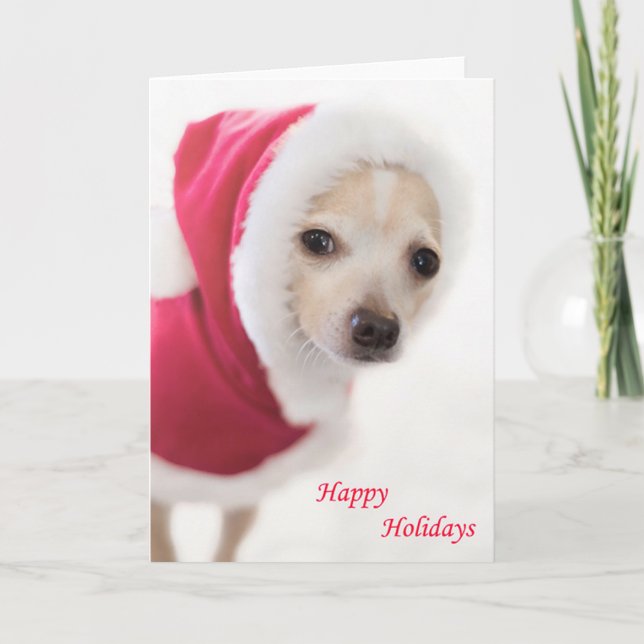 Santa Dog Holiday Card (Front)