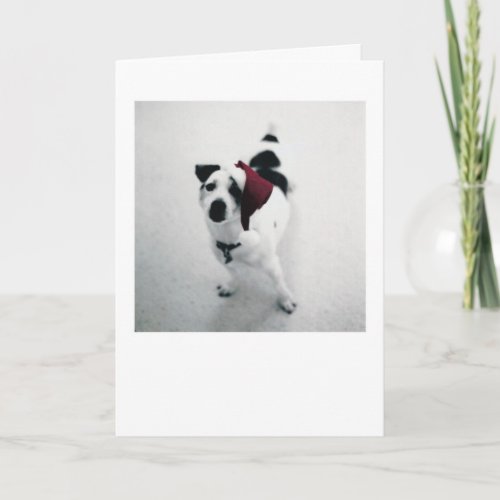 Santa Dog Holiday Card
