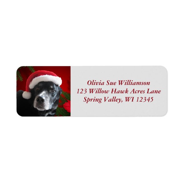 Santa Dog-Lab/Rott Mix with Pointsettia Label (Front)