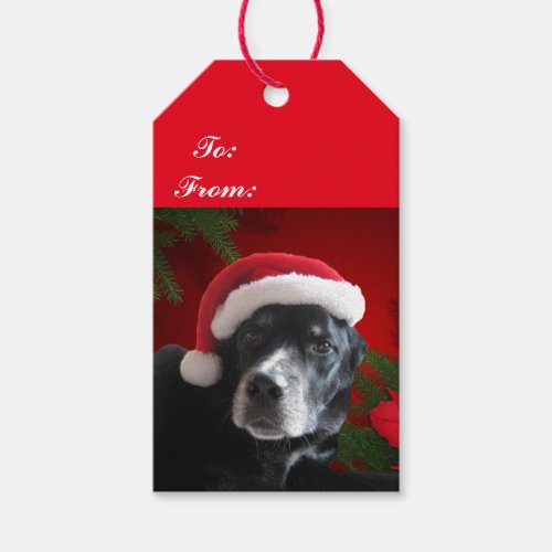 Santa Dog_LabRottweiler with Holiday Background Gift Tags