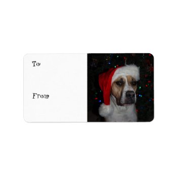 Santa Dog Label by ChristyWyoming at Zazzle