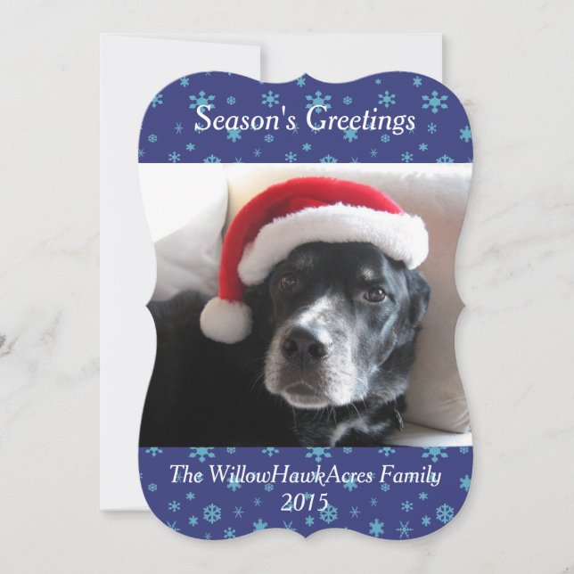 Santa Dog-Labrador/Rottweiler Mix Holiday Card (Front)