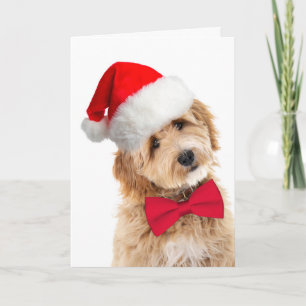 Santa Doodle Dog Card