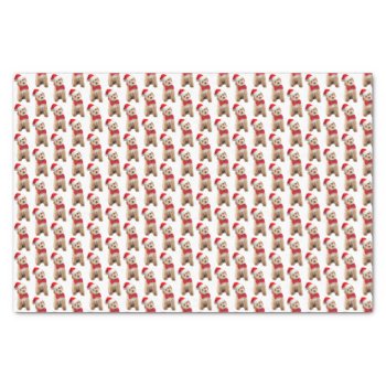 Santa Doodle Dog Tissue Paper by ForLoveofDogs at Zazzle