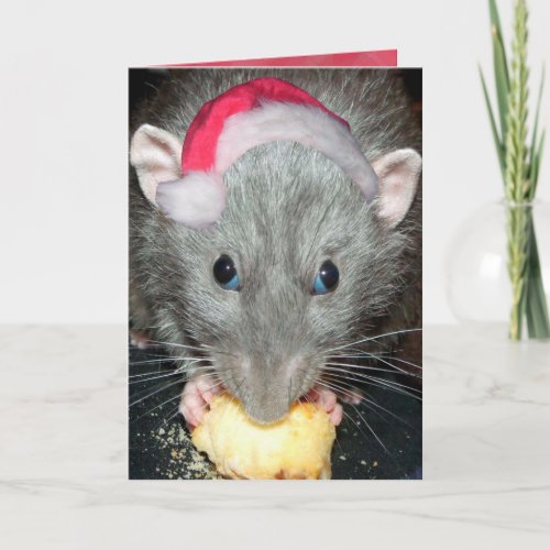 Santa Dumbo rat card