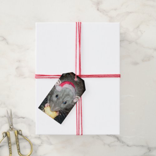Santa Dumbo rat gift tags pack of 10