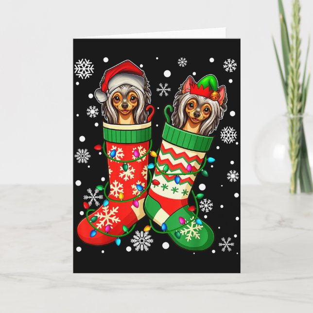 Santa Elf Chinese Crested Dog In Christmas Socks M Card (Front)