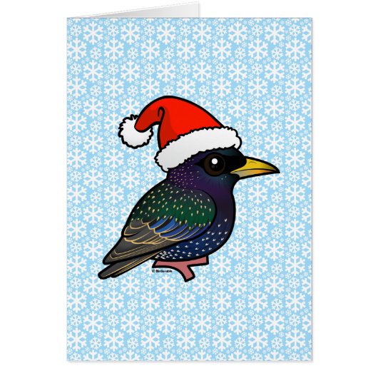Santa European Starling Cards (Front)