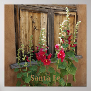Santa Fe Holly Hock Flowers Poster