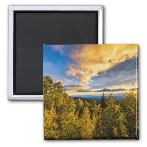 Santa Fe National Forest at Sunset in Autumn Magnet
