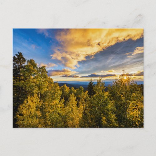 Santa Fe National Forest at Sunset in Autumn Postcard