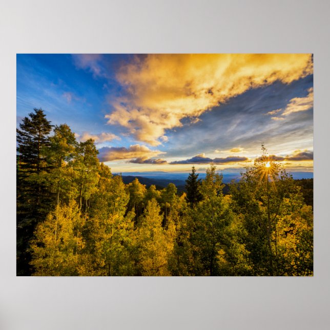 Santa Fe National Forest at Sunset in Autumn Poster (Front)