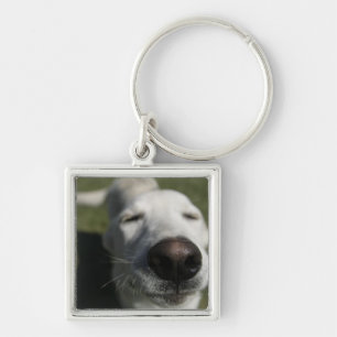 Santa Fe, New Mexico Keychain