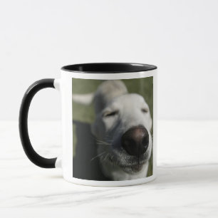 Santa Fe, New Mexico Mug