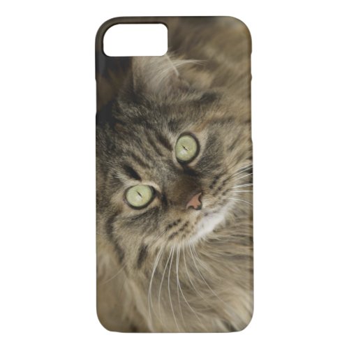 Santa Fe New Mexico USA Maine coon cat PR iPhone 87 Case